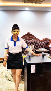 Loa Kéo MTMAX K8 Pro Chip DSP Hay Như Phòng Karaoke Chuyên Nghiệp Dàn Karaoke Di Động 3 Đường Tiếng Bass 50cm Công Suất 800W Kèm 2 Micro UHF Cao Cấp