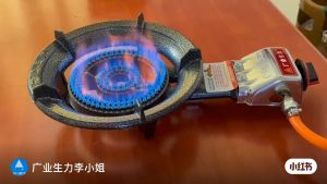 Butterfly BGC-40A Gas Stove | Auto Ignition | Cast Iron Burner | High Efficiency COOKER