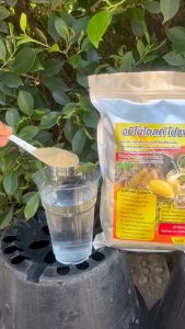 อมิโนโกลด์ โปรพลัส