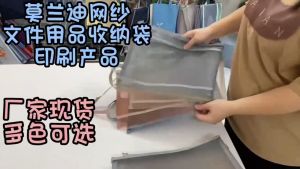A4 size double Layer Nylon Mesh Document Zip Bag