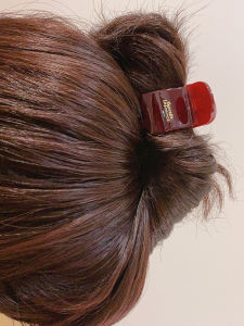 Elegant Simple Hair Clips Womens Back of Head Updo Shark Clamp 2023 High End Hair Accessories Fresh out New Fashion