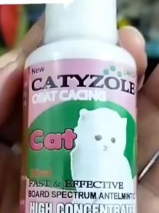 Catyzole Drop 30ml: Obat Cacing Tetes Cair Kucing Cacingan