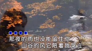 Kuai-华语国语粤语 mp4 MTV  视频U盘歌曲 卡拉OK流行经典歌曲 K歌  Mandarin Cantonese mp4 MTV Video U Song Karaoke Popular Classic Songs K Song 64B-1060MV