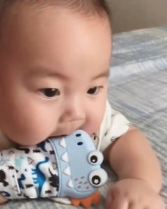 Sunday Baby Food Grade Silicone Teether Mitt - Gigitan Bayi