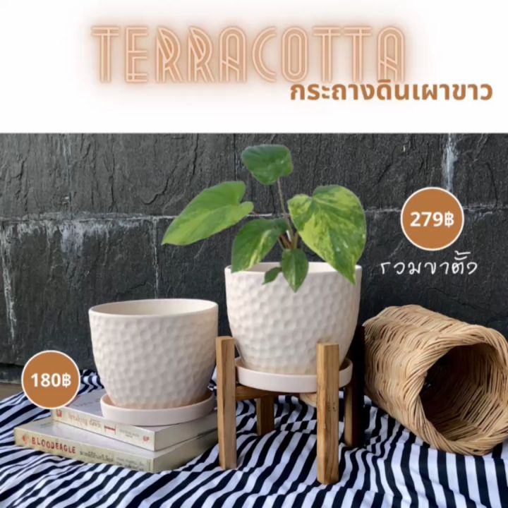 กระถางดินเผามินิมอล 6 นิ้ว เนื้อเนียน สีขาว