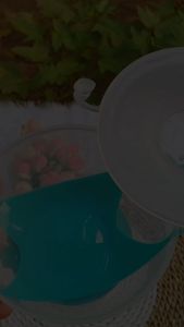 Wadah Penampung Asi Silikon / Breastpad Saver Shield / Breast Milk Collector R-55