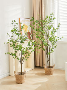 LIANYOU | Artificial Plant Majolica Landed Pot Decoration