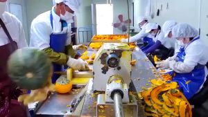 Roasted Pumpkin Seeds: A Healthy & Delicious Low-Fat Snack