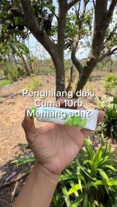 Cindynal Fruit Acid Exfoliating Gel 30gr Glowing Blackhead Cleaner Body Perontok Daki Mengangkat Sel Kulit Mati Tanpa Rasa Sakit dan Iritasi