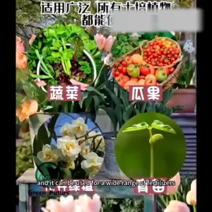 蚯蚓肥 Vermicompost  蚯蚓有机肥 蚯蚓 Baja Organik Cacing Vermicast For Organic Farming cacing tanah worm fertilizer  有机肥