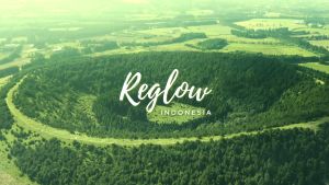 REGLOW NATURAL SKIN CARE MASK MASKER SHEET & REGLOW Sheet MASK / MASK SHEET Masker Wajah Jeju Lemon Mencerahkan Wajah Glowing