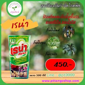 เรน่า ขนาด500 ซีซี ป้องกันและยับยั้งเขื้อรา แบคทีเรีย และไวรัส โรคต้นเน่า โรคราแป้ง โรคราดำ โรคแอนแทรกโนส