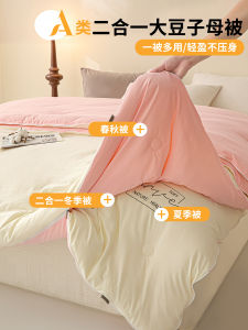 A-Class Soybean Filling Duvet Core Spring Autumn Two-In-One Detachable Thickened Warm Winter Single Cotton Duvet