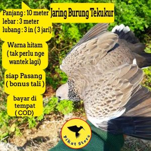 JARING BURUNG TEKUKUR PIKAT#10 BURUNG TEKUKUR JALA BURUNG TEKUKUR JARING BURUNG DERKUKU JARING BURUNG DEKUKU JARING BURUNG BESAR JARING BURUNG JALAK KEBO JARING BURUNG SAWAH JARING BURUNG 3 IN JARING BURUNG 3 JARI JARING BURUNG 3 INCI JARING BURUNG 3 NCH