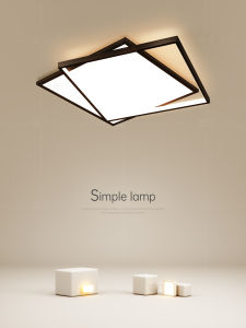Elegant Creative LED Ceiling Light Minimalist Modern