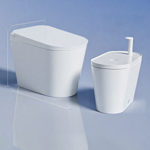 DONGPENG | No Water Pressure Measurement Required Electric-Free Smart Toilet