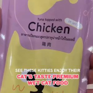 (PER PIECE) Cats Taste Healthy Premium Jelly Cat Food Skin Joint Digestion Hairball Immune Kidney Urinary Weight 70g