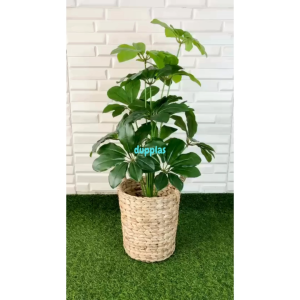 Pohon Hias Tanaman Artificial Daun Walisongo X12 Semilatex Cover Pot Eceng Gondok Handle Dekorasi Kantor Hiasan Cafe