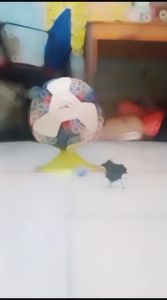 BOLA SEPAK Specs asli untuk liga 1 dewasa profesional mendapatkan bonus Pompa pentil dan jaring bola sepakbola original