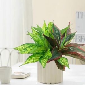 Kmitang | 24cm Small Artificial Magnolia Plants Fake Plant Branch Plastic Leaf Desk Landscape For Plant Wall Home Garden DIY Wedding Decor