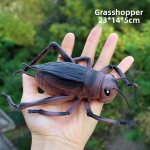 UCOK | Large Childrens Plastic Insect Models
