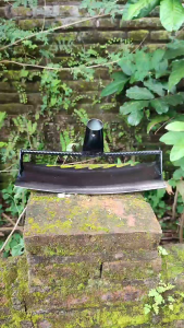 (GROSIR)Cangkul Garuk Pembersih Rumput Liar Terbaru Bahan ASLI Gergaji Slendang