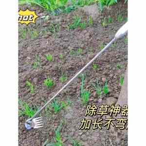 New Arrival Weeding Handy Gadget Non-Bending and Root Pulling Tool Multi-Functional Vegetable Garden Hoe Digging Loose Soil Weeding Rake