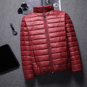 Lightweight Silk Cotton Jacket Mens Autumn Winter New Style Large Size Ultra Light Stand Collar Hooded Short Cotton Coat