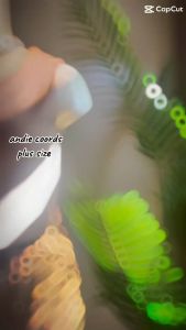 PLUS SIZE COORDS✨✨✨✨✨✨