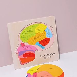 Puzzle Kayu Anatomi Otak Mainan Edukasi Anak Montessori Mengenal Bagian-Bagian Otak Manusia