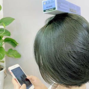 Thuoc nhuộm tóc màu rêu đá-rêu khói thời trang 44/222 TNT