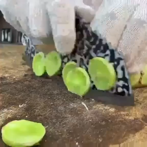 K7013 锤文切菜刀 Hammer-patterned kitchen knife