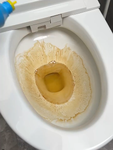 ✅2026 NEW✅Toilet Bowl Cleaner No Scrub Powerful Stain Remover 99.9% Germs Kill Fresh Scent Glaze Safe