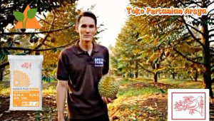 Meroke KARATE PLUS BORONI 1 kg Pupuk Kalsium Nitrat