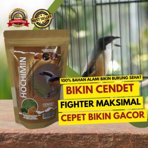 Pakan Burung Cendet & GACOR POLL 250g: Membantu Burung Berkicau dengan Cepat