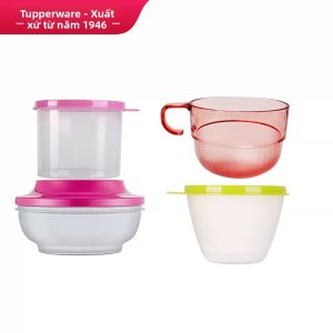 Tupperware | Cold Storage Preservation Box