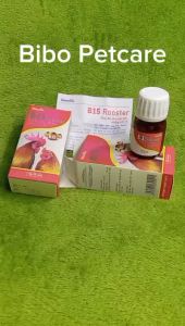 Viên uống bổ sung vitamin B15 Rooster cho gà đá thú đua chó mèo giúp tăng cơ bền sức giảm mệt mỏi nhanh hồi phục hộp 50 viên