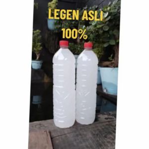 minuman legen asli buah siwalan tuban kemasan 1500mili 1