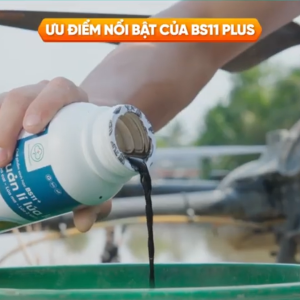 BS11 Plus Diệt Lúa Lộn Lúa Cỏ Lúa Ma Dạng Lỏng 450ml Phun Máy Bay - Bác Sĩ Cây Xanh