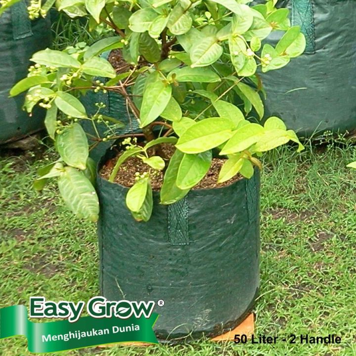 PLANTER BAG 50 LITER EASY GROW / PLANTERBAG 50 LITER / PLATER BAG TAMAN / PLANTER BEK/ TABULAMPOT / POT BUAH / POT / POT BUNGA / POT HITAM / POT PLASTIK / POLIBAG / POLYBAG / POLIBEK / POT SAYUR / EASYGROW