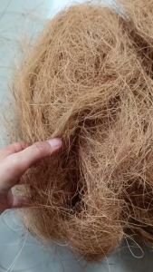 Cocofiber 1 kg media tanam anggrek | sabut kelapa untuk tanaman