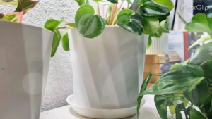 LAVA Paloma Flower Pots Plastic with Tray Pasu Bunga