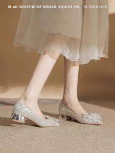 Elegant Crystal Butterfly Knot Single Shoes for Women Pointed Toe Thick Heel Low Heel 3cm Wedding Shoes Silver Color Daily Wear
