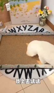 Cooling Pet Bed with Non-Slip Base Easy to Clean Ideal for Cats & Dogs Portable Cat Carrier Mat 宠物凉席