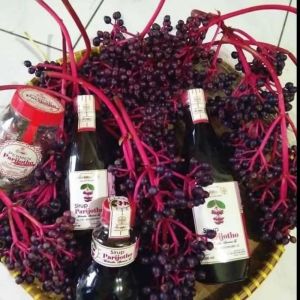 paket lengkap sirup parijotho 500ml+buah parijotho+tespeck