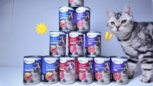 PawDawn Cat Canned Food 400g Cat Wet Food Cat Treats Makanan Kucing Basah