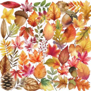 50/100PCS Creative Transparent PET Graffiti Stickers for Autumn Decoration DIY Phone Computer Festival Gift Stickers