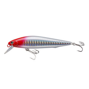EWE | Center of Gravity Shifting Silver Minnow Lure