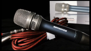 RAYHAYES Professional microphone All metal Super Cardioid Microphone RD-1 Mic