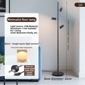 SHIGUANGSUIDAO | Full Spectrum Floor Lamp Modern Luxurious Decor